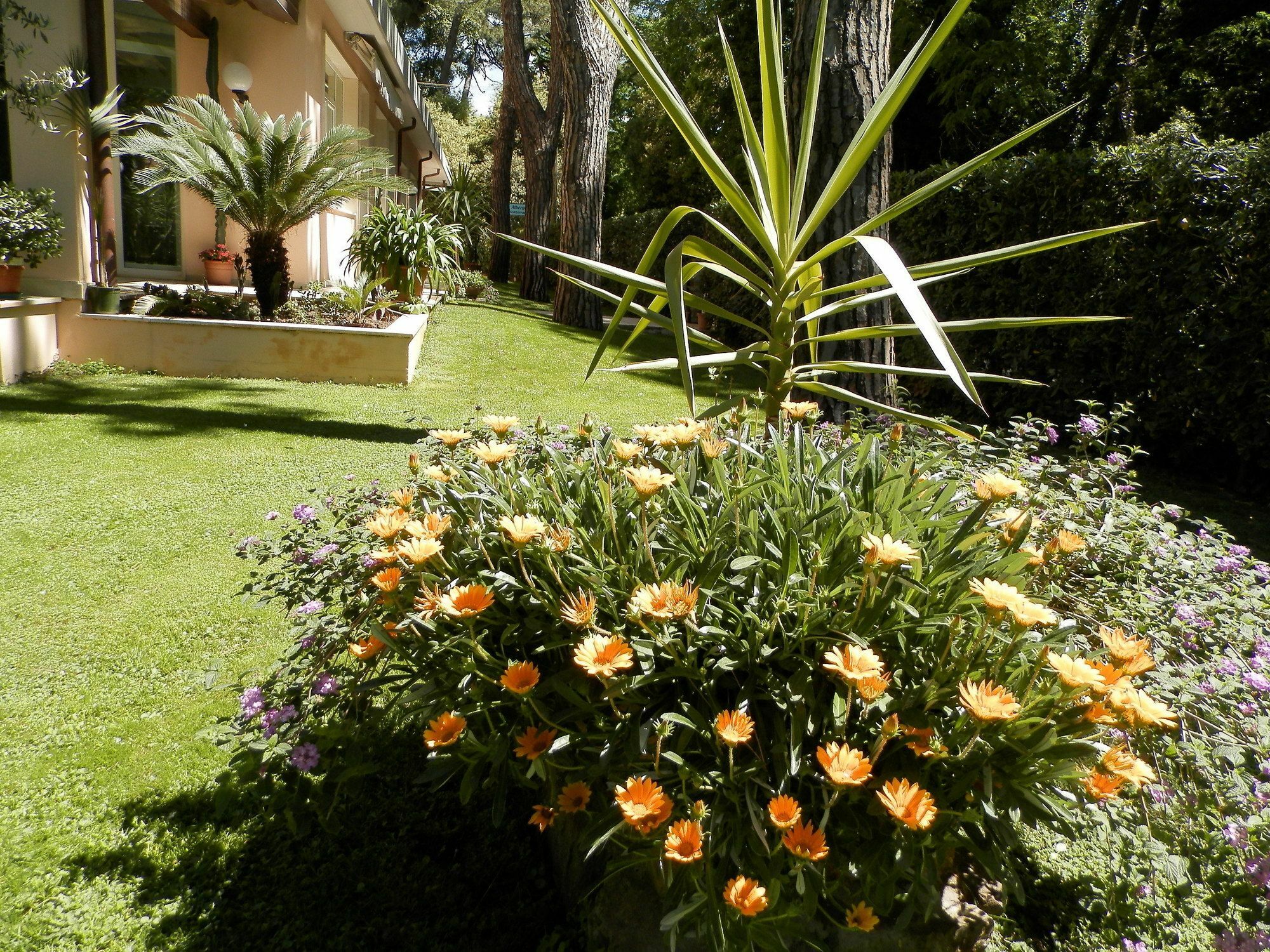 Hotel Mediterraneo Marina di Pietrasanta Dış mekan fotoğraf